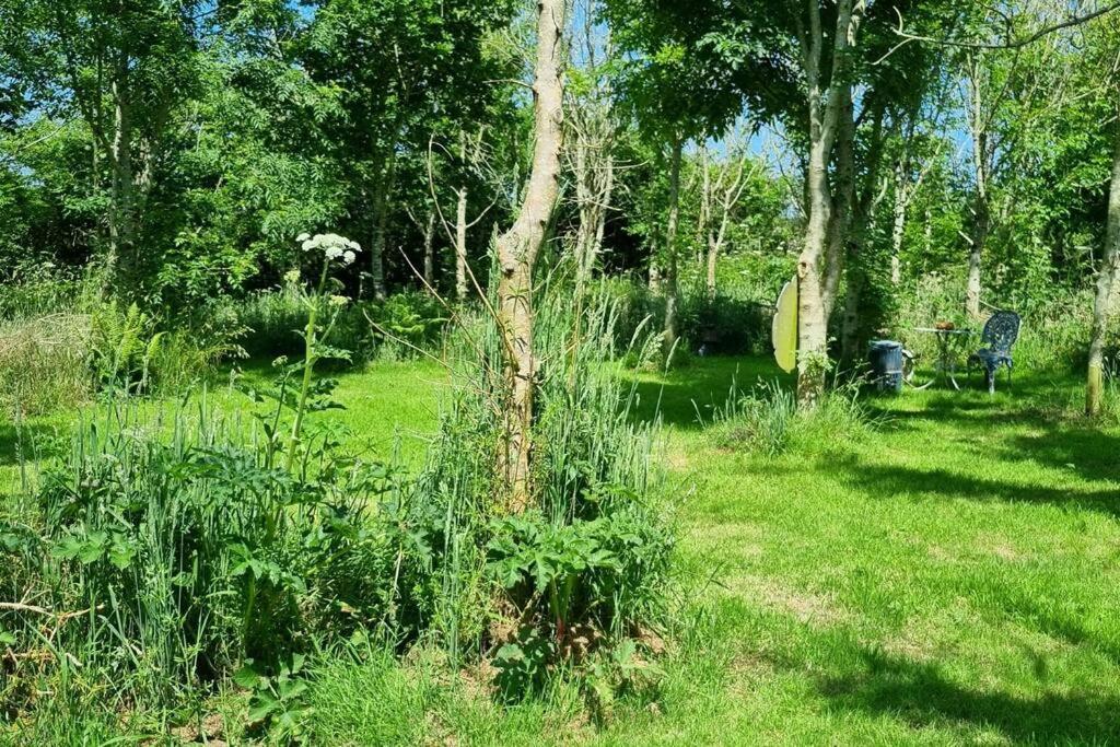 Hallegan Annexe With Private Garden And Woodland Camborne Ngoại thất bức ảnh